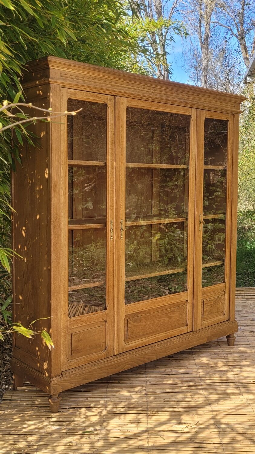 Showcase library - renovated