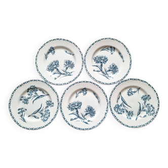 5 iron earthenware flat plates, KG Lunéville, Oeillet, 1900