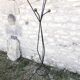 Vintage coat holder 1950