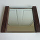 Mirror tray