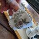 6 tasses Windsor 1981 – Jardin anglais fleuri