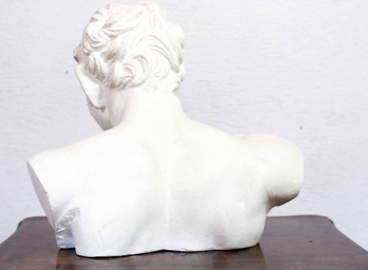 Buste de Faune en plâtre