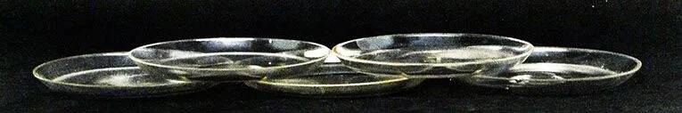 G7S Hydrangea Art Deco Plate Set