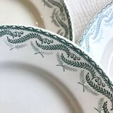 Set of 5 Terre de Fer Saint-Amand plates, Réjane model