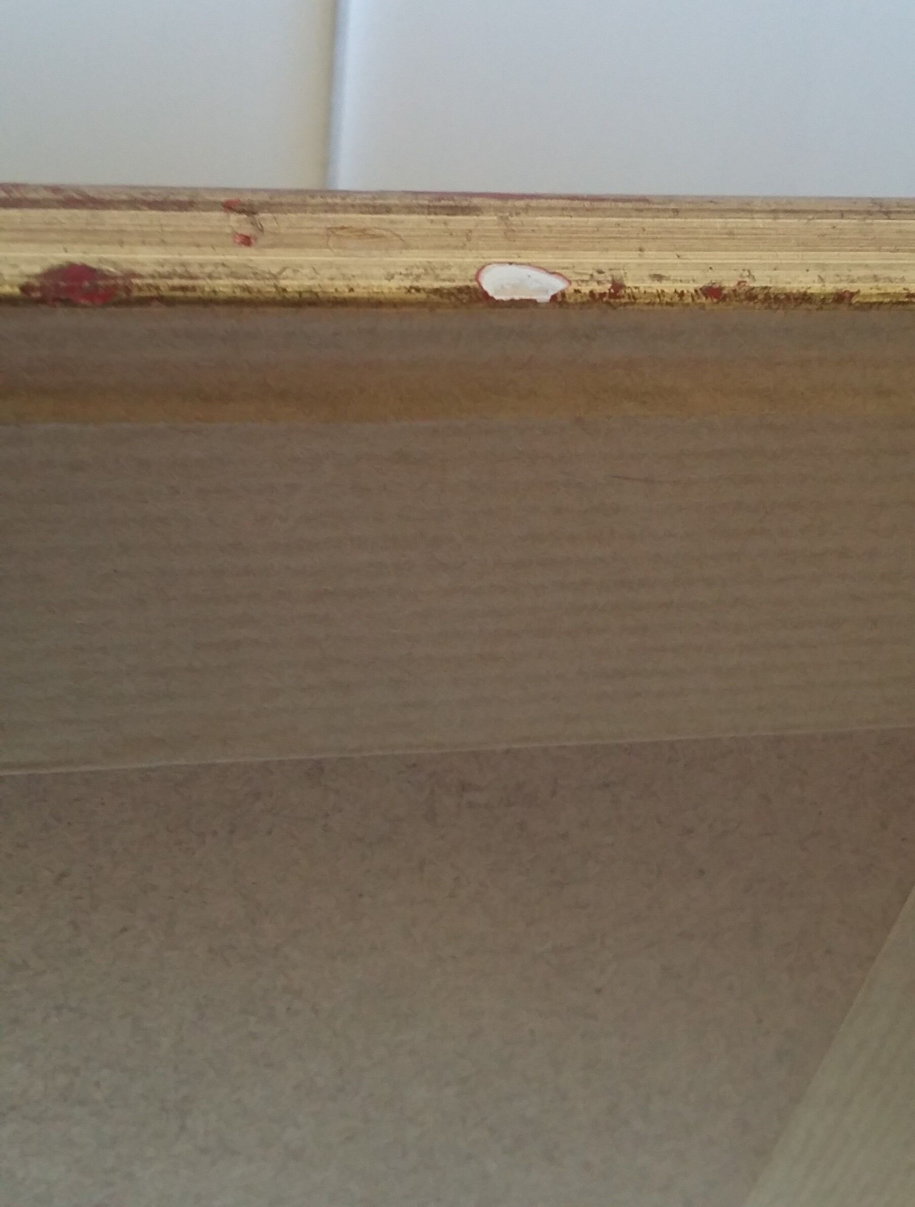 Golden framed bird cockatoo