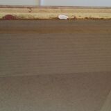 Golden framed bird cockatoo