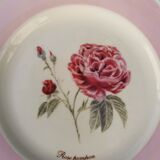 Assiette rose