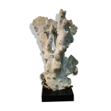 Coral on base 30 years