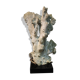 Coral on base 30 years