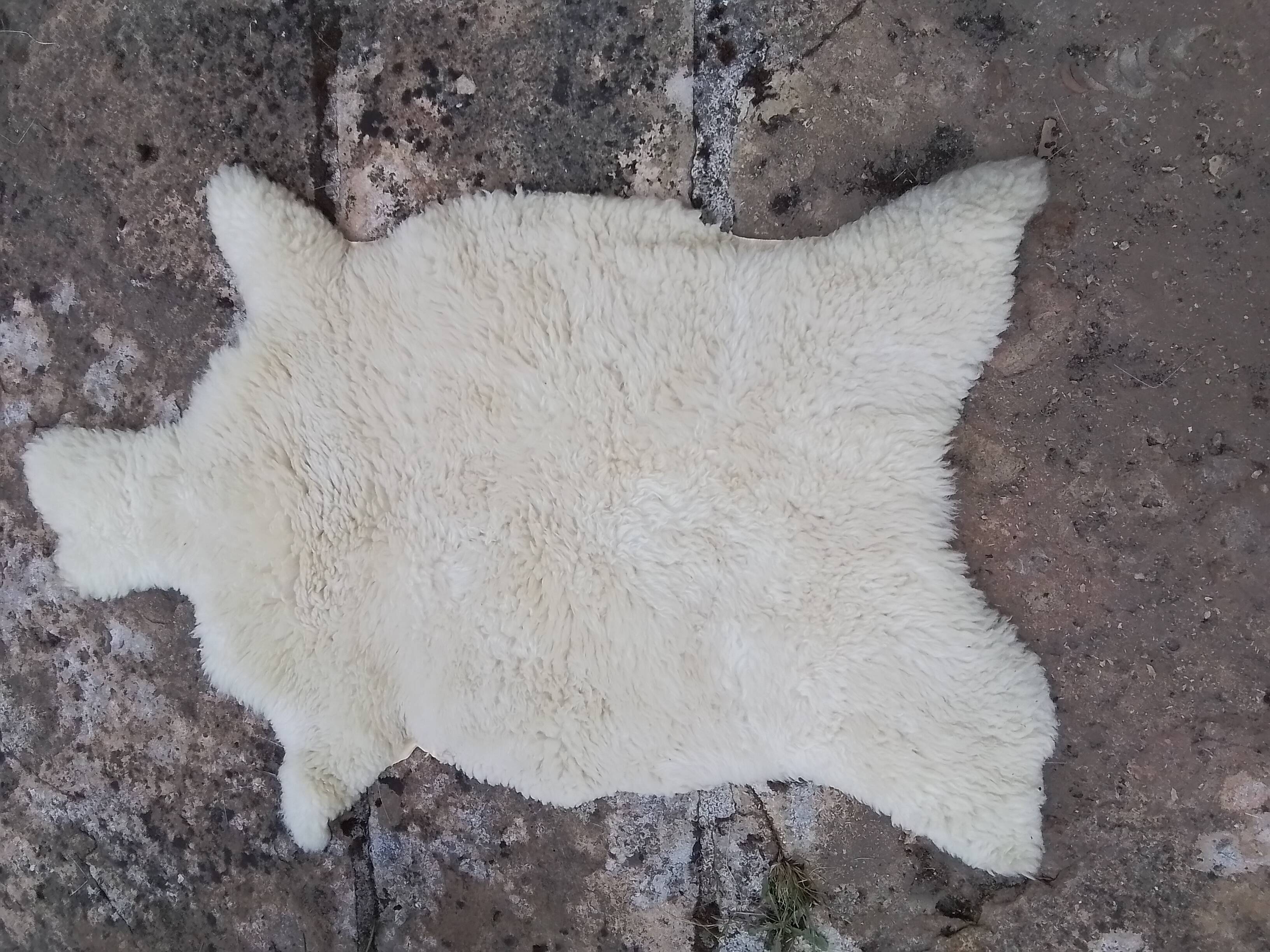 Sheep's skin