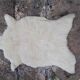 Sheep's skin