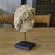 Sculpture of a head in reconstituted stone carved in the antique style of the 19th century