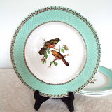 4 flat plates Birds