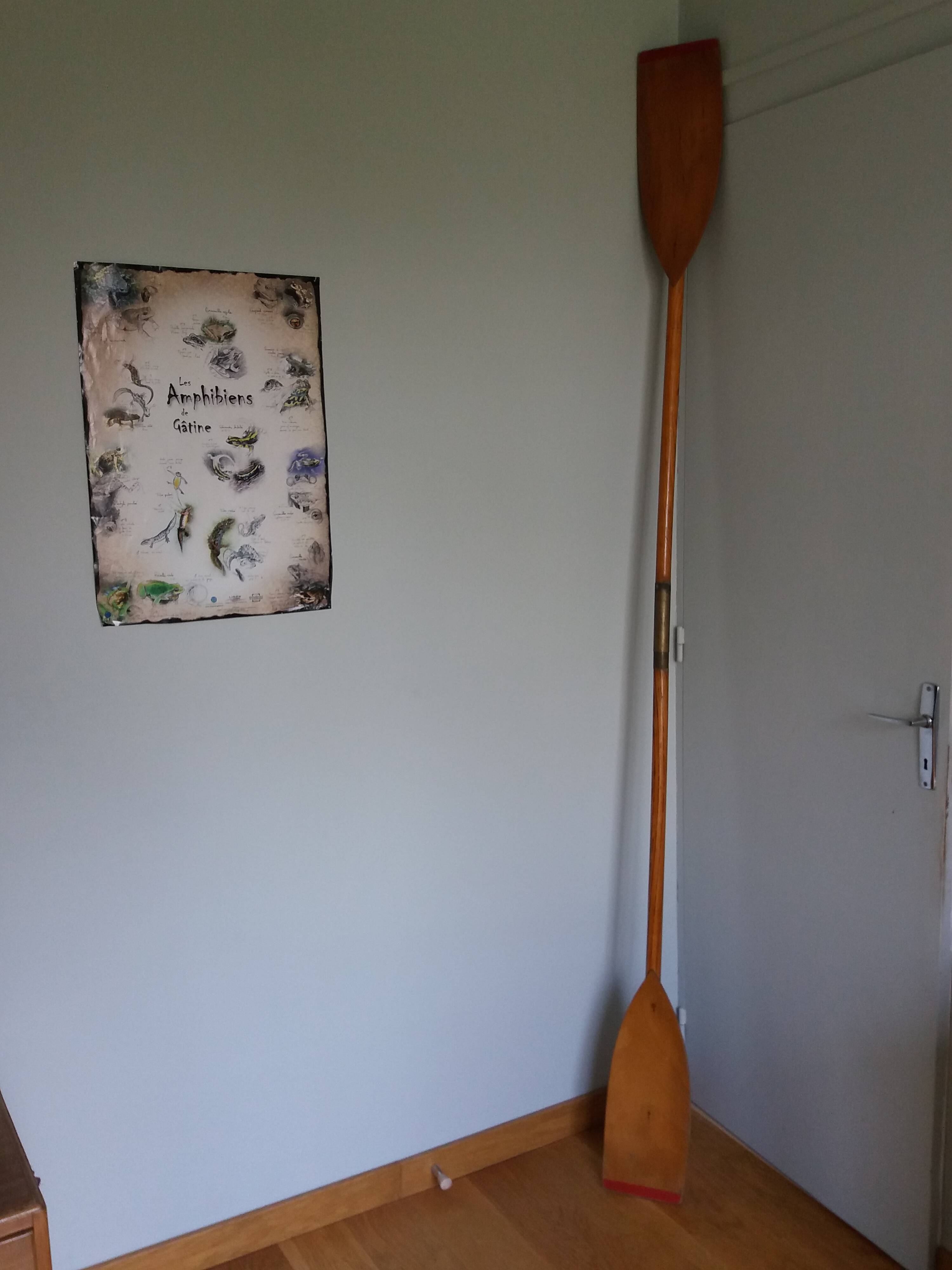 Nautisport oar paddles