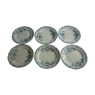 6 st Amand flat plates model Regence