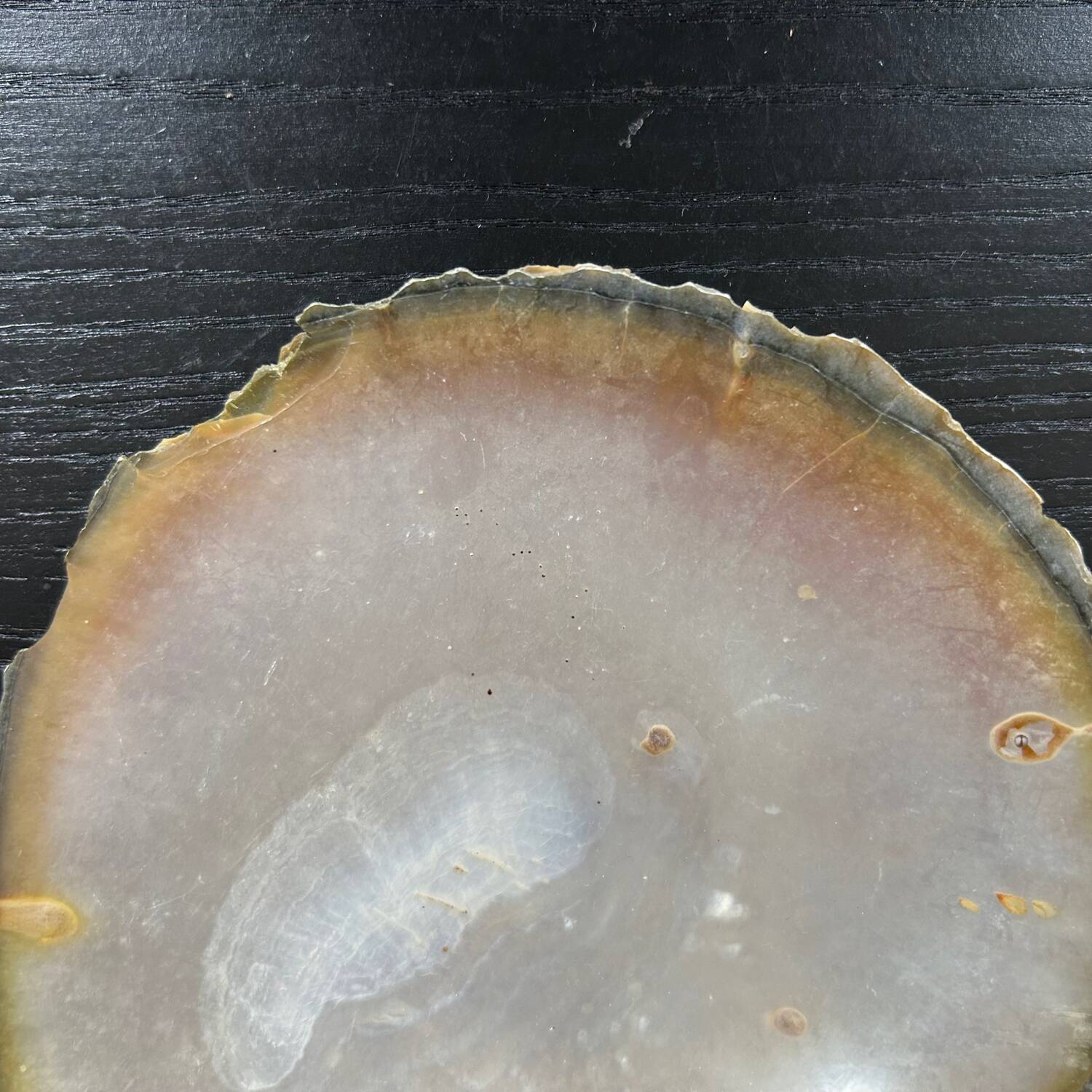 Mother-of-pearl shell pocket
