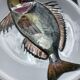 8 Plates flat fish painted handmade art art Proceram