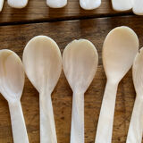 Set of 16 tapas forks and 14 scoops of sorbet