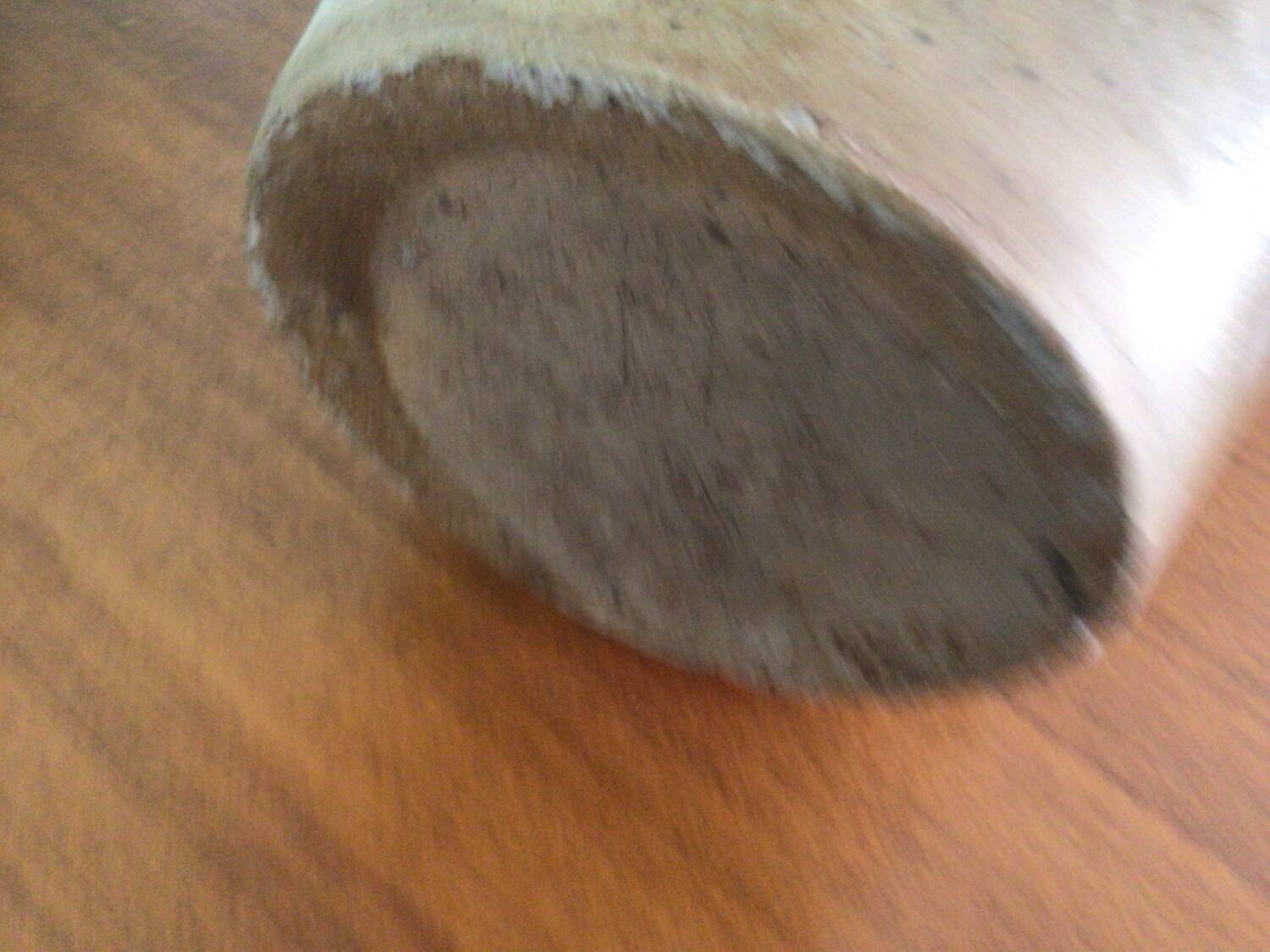 Cruche