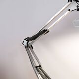 Fase articulated lamp