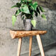 Table tripode bois design Brutaliste