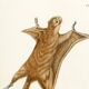 Poster about the flying squirrel, based on an old engraving from 1774.
