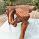Brutalist teak root coffee table