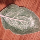 Cabbage leaf slip
