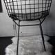 Chaise par Harry Bertoia rislan en noir