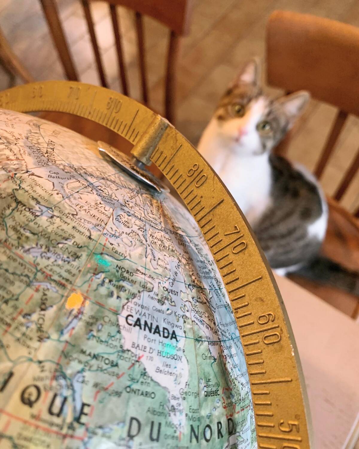 Ancient terrestrial globe