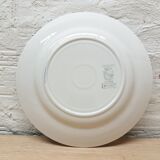 Pair plates flat blue flowers