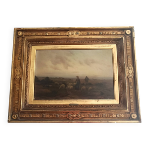 hermann solbrig (1853-1942)