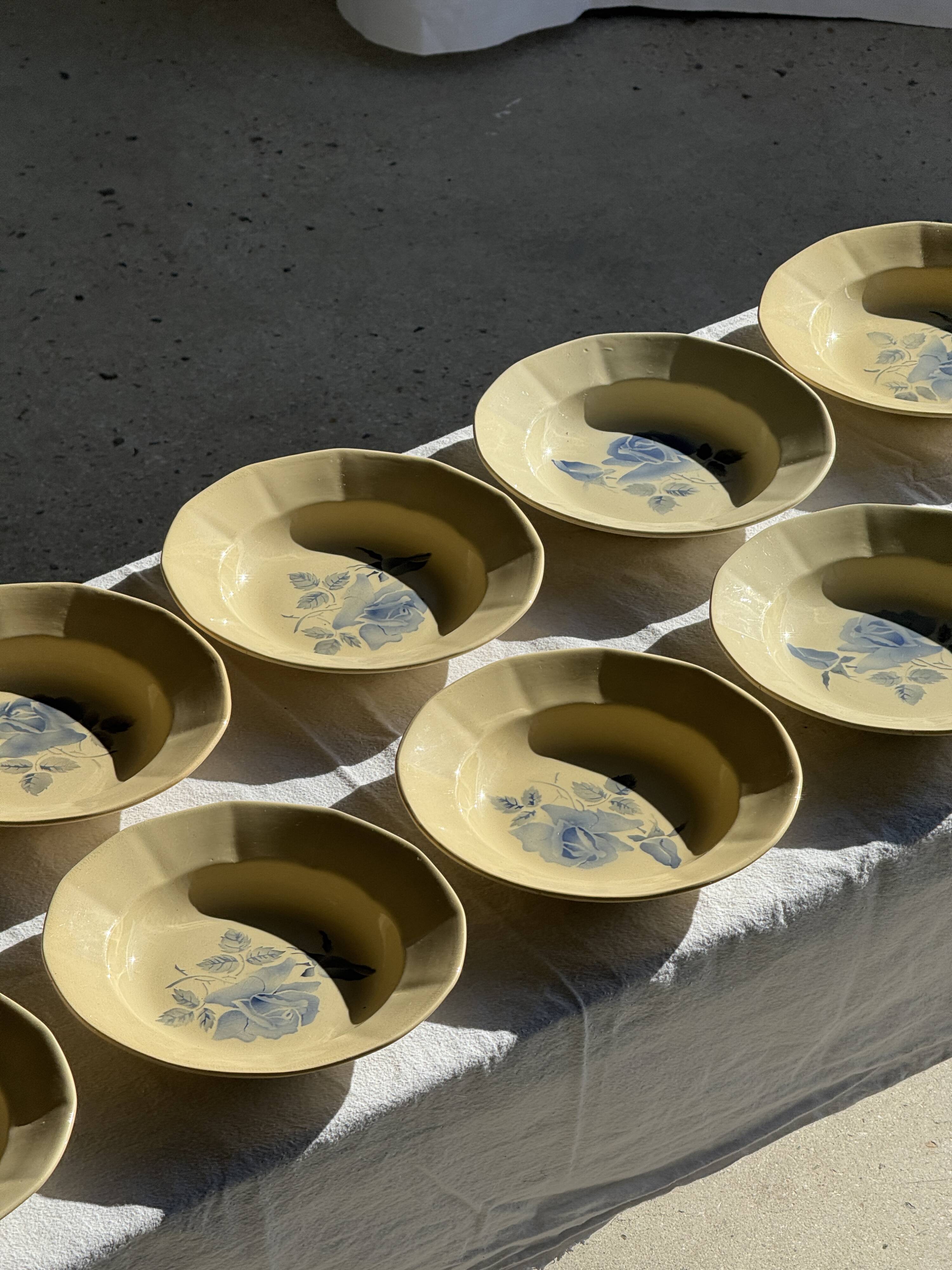 Set of 12 beige, pink, and blue deep plates from Digoin Sarreguemines, vintage.