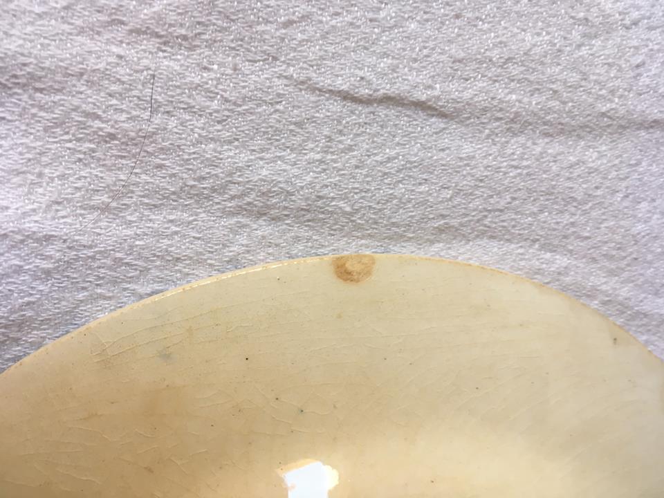 Four plates flat faience of Gien model begonia