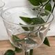 Set of 6 wine glasses in cut glass