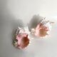 Set Murex Rameux shells