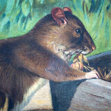 Affiche "Souris" éducatif graphique A. Wagner 1923