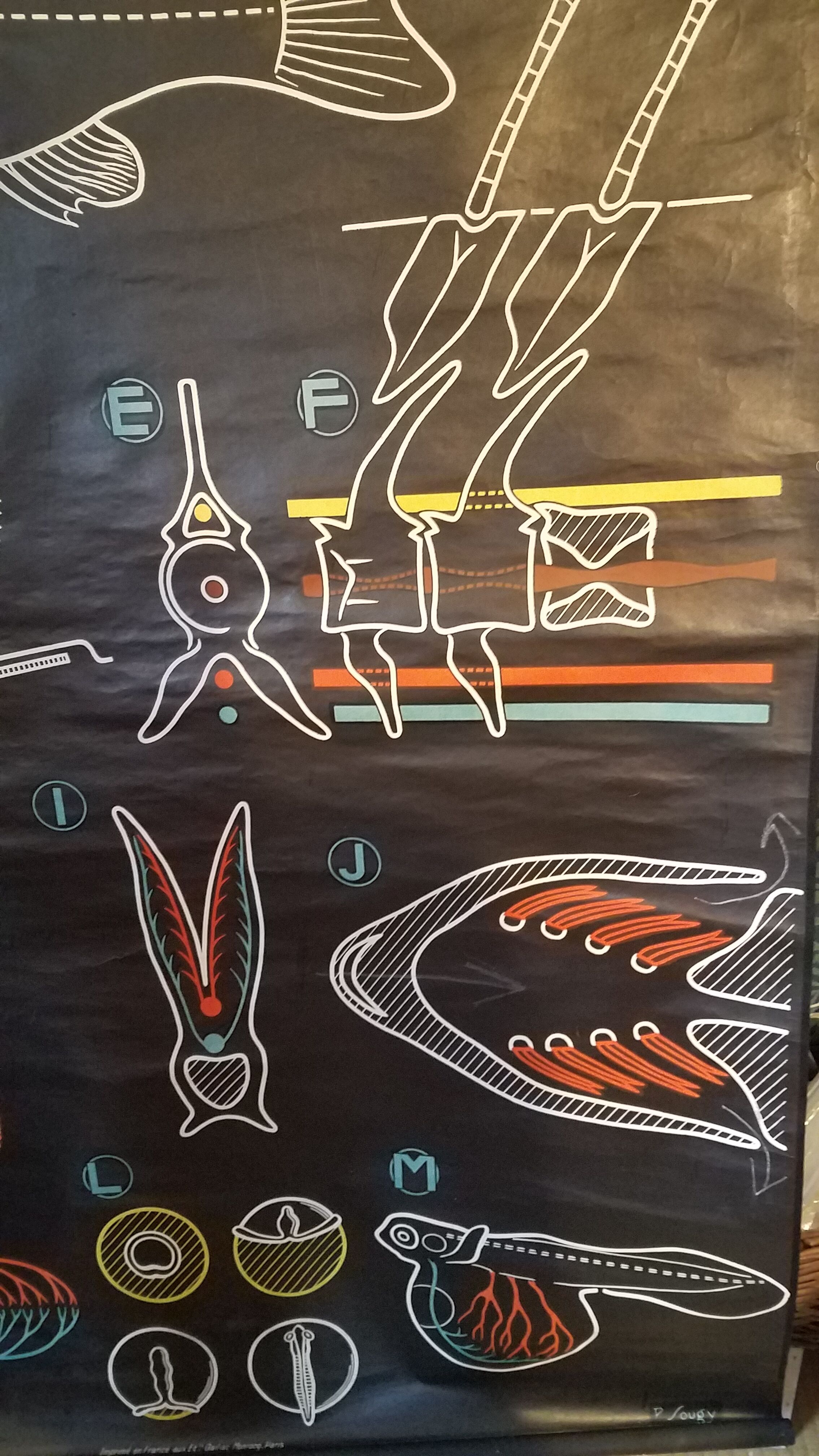 Poster Scolaire la Perche
