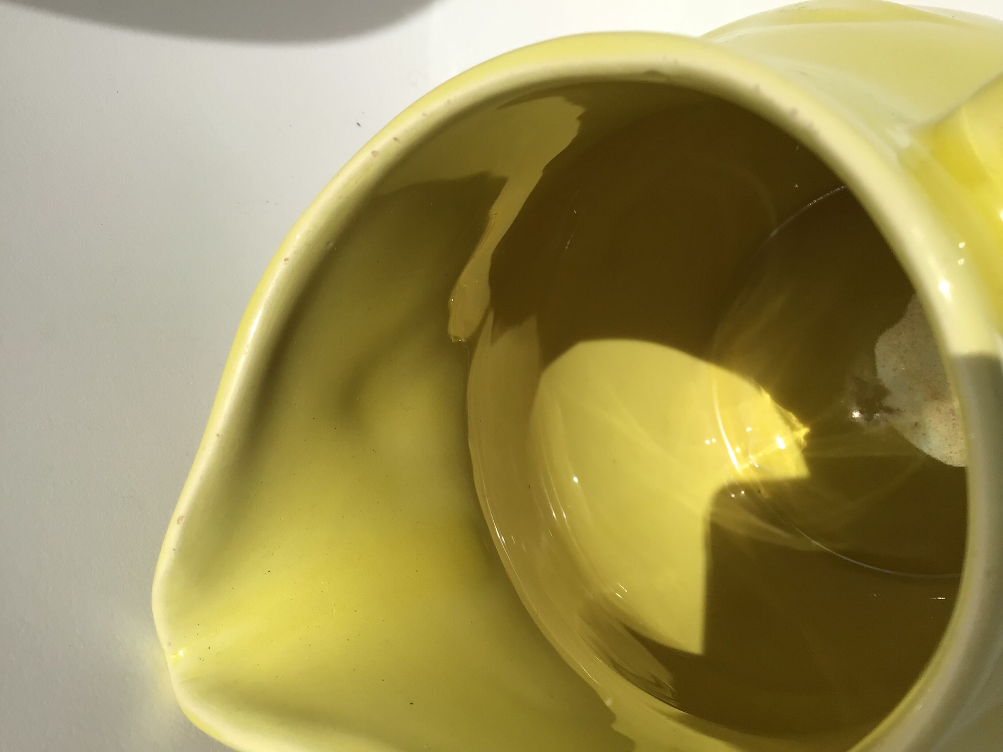 Yellow pitcher bird earthenware Vercor light relief