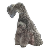 Black and white silver print, xanine silhouette, signed (Dim) Henri Dimont, 32 x 25 cm