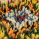Jardin, tapis berbère, 160 x 235