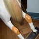 Carousel wooden horse
