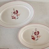 2 dishes and 1 plate iron earth Salins