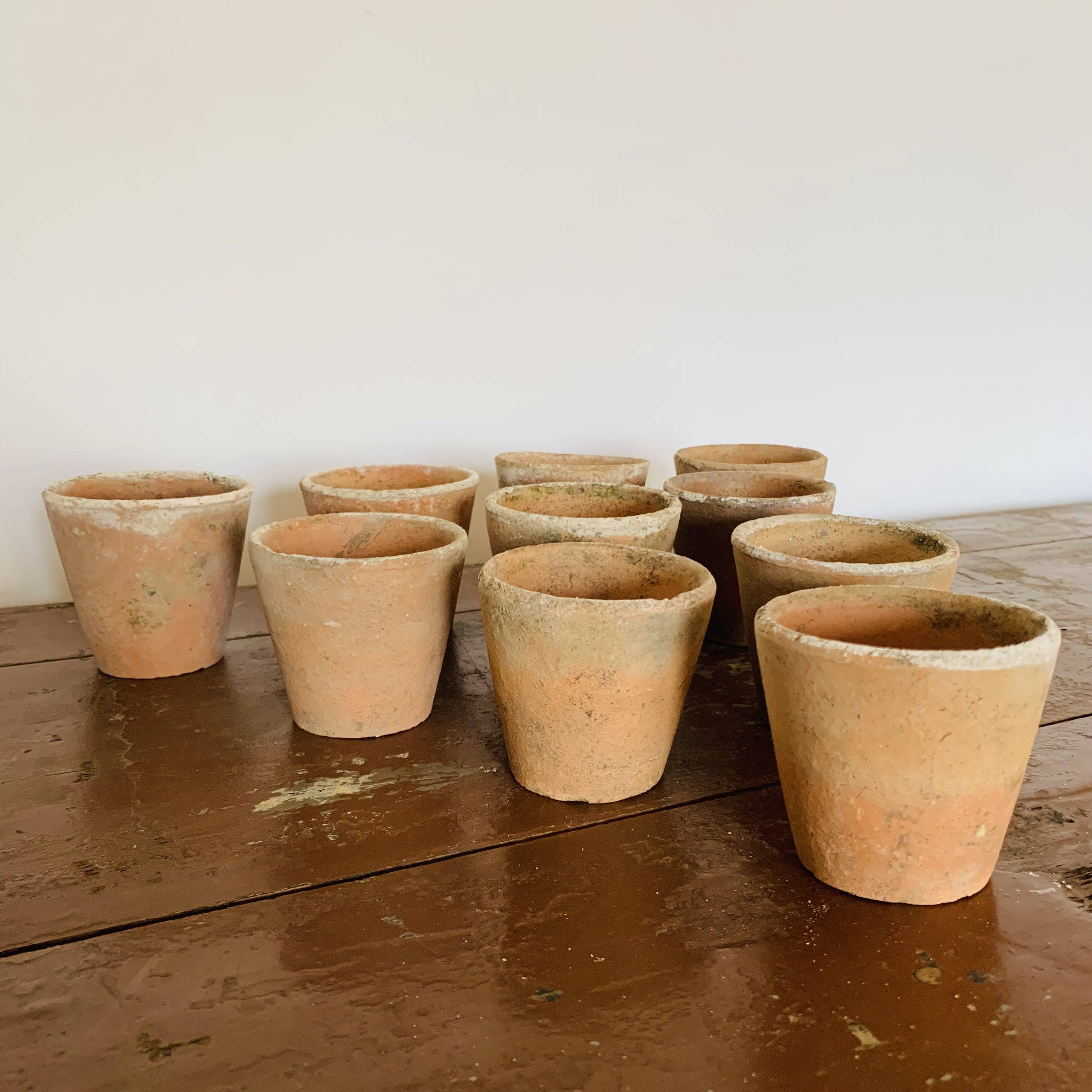 Lot of 10 terracotta pots circa 1930 graineterie