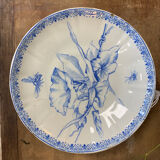Insect plates