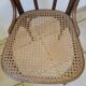 Thonet bistro chair