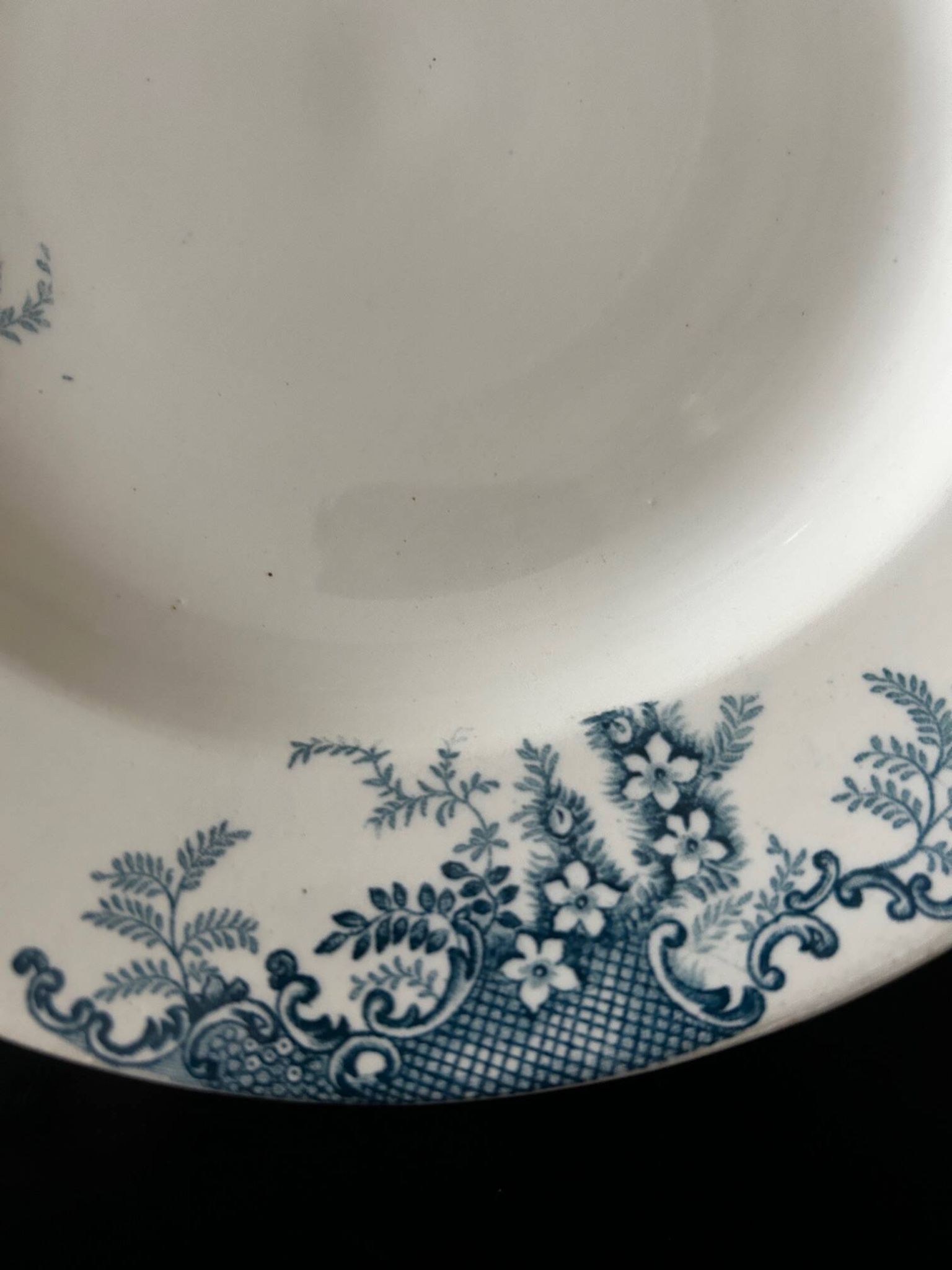13 deep plates Terre de fer Cyclamens Louis Graves