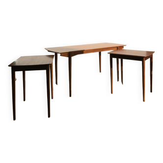 Ensemble de 3 tables basses en teck, 1960