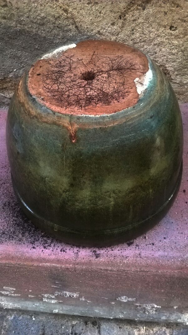 Pot de fleurs vintage