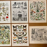 Reserved Marion - Lot of 6 lithos